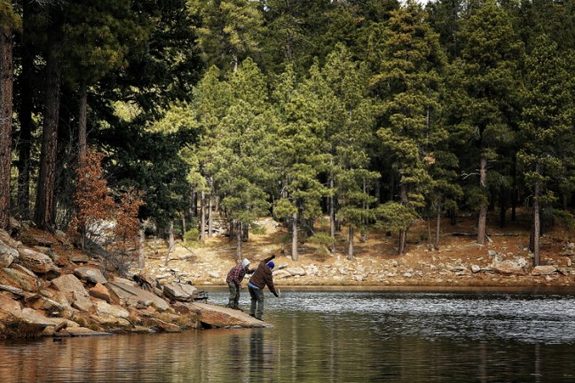 woods canyn corner fish_SSPSi