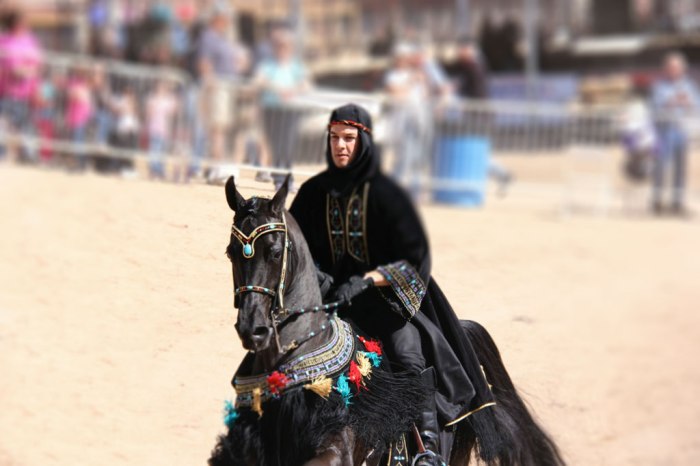 MK-blk-rdr-field-bluri