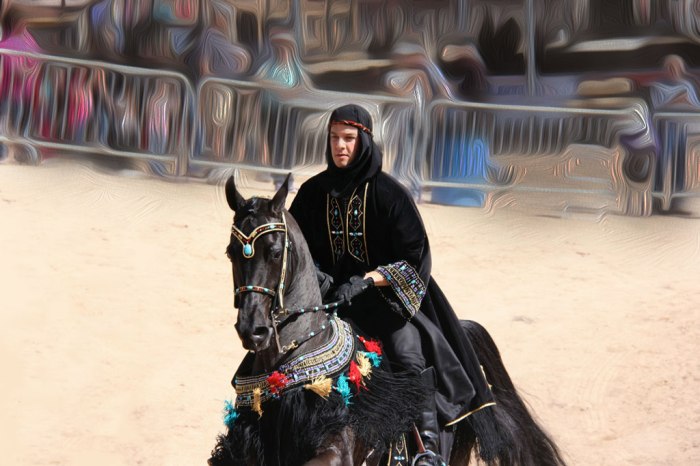 MK-blk-rdr-oilpainti