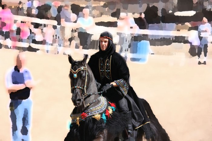 MK-blk-rider-palatte-knifei