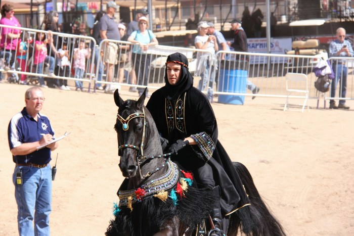 MK60D_AHS12_0015 copy