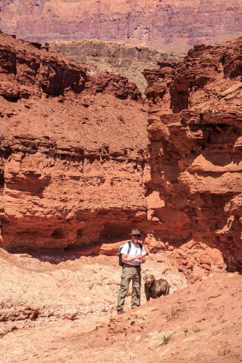 jj cath wash vertPSi