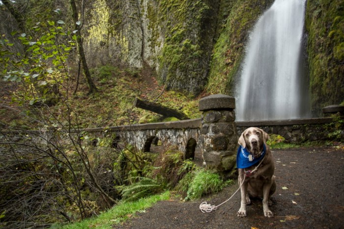 journey lfallsPSi.JPG