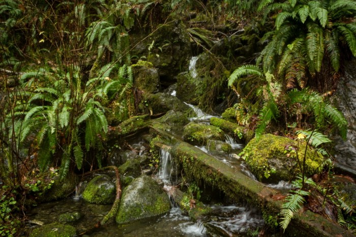 minifalls hort2PSi.JPG