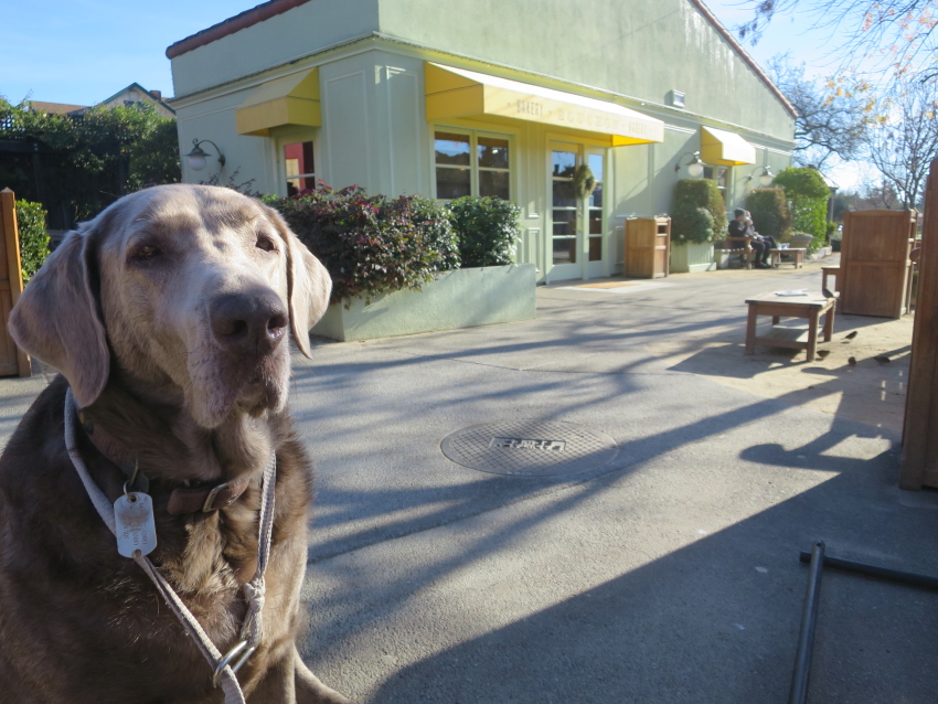 journey bouchonbakeryi.JPG