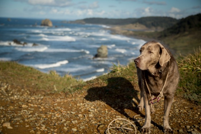 journey capeblancobayPSi.JPG