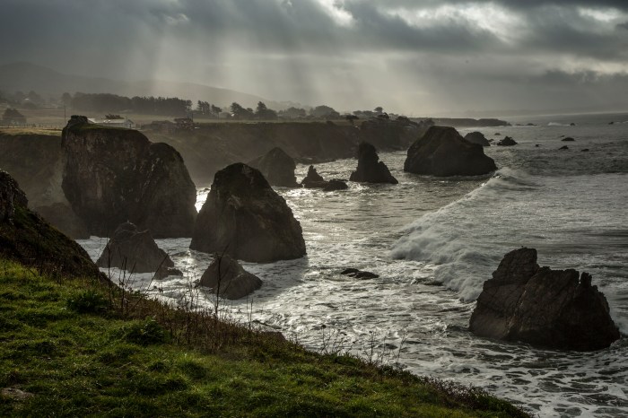 bodegarays cloPS.JPG