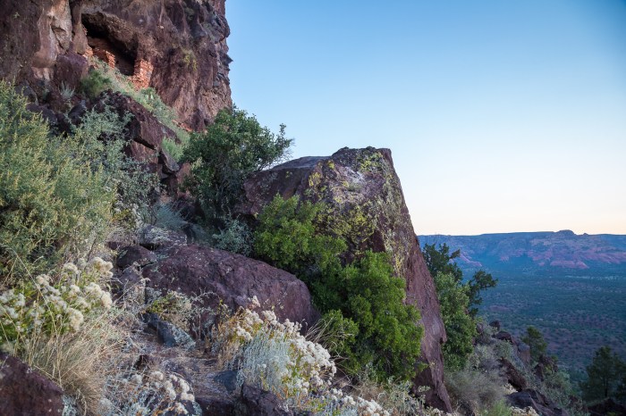 first glmpeCR2_LR-2_IR.jpg