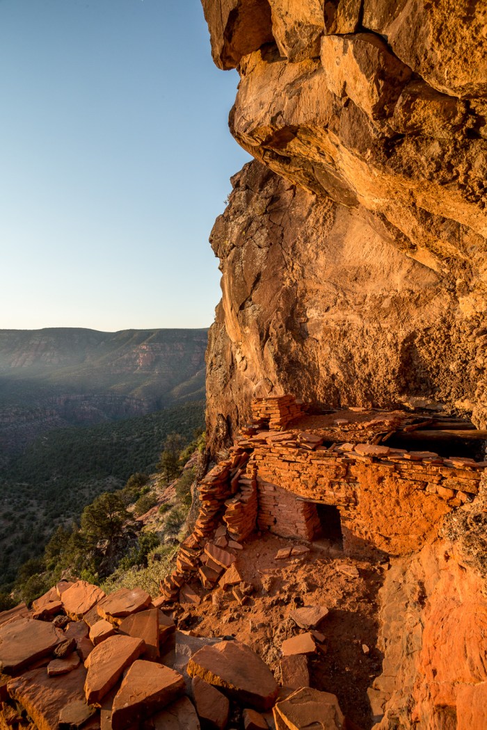 golden vu vert_IR.jpg