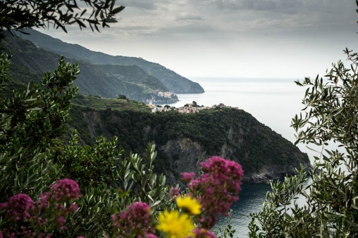 corniglia far_IR.jpg