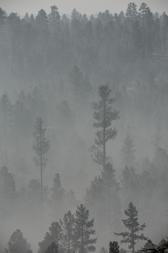 lonetree clos_LR_IR.jpg