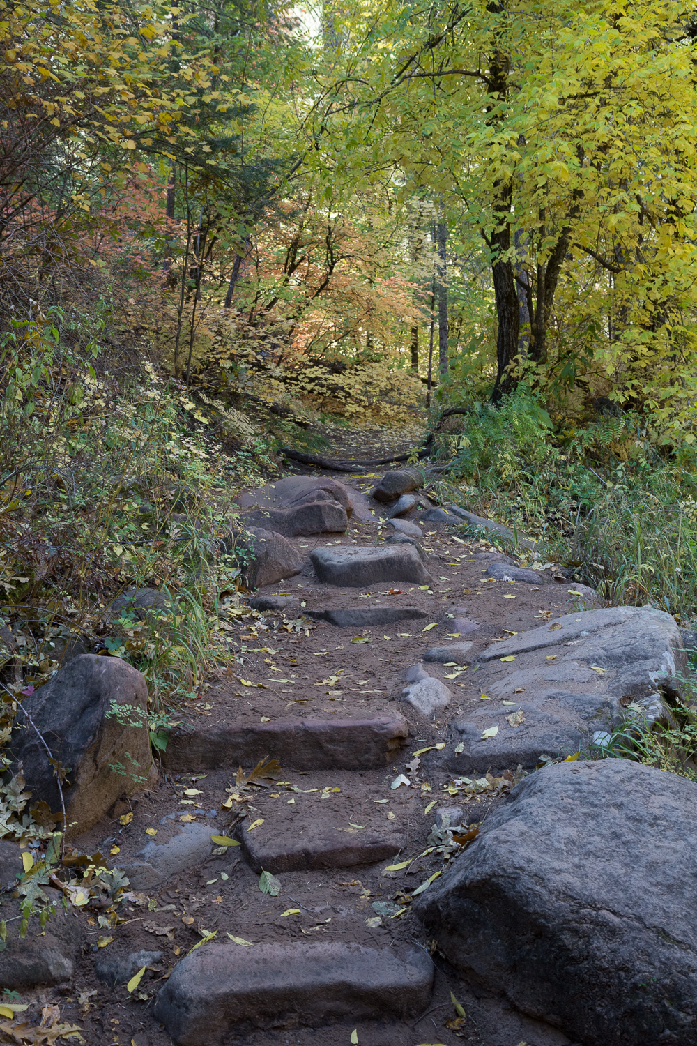 rocktrail step_IR.jpg