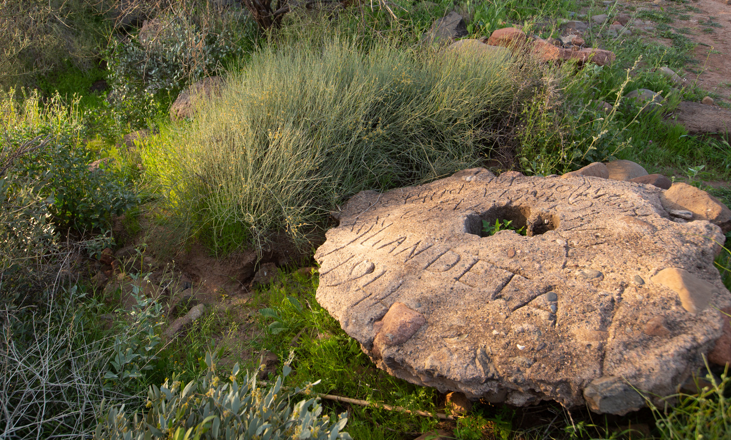 Orig Concrete _IR.jpg